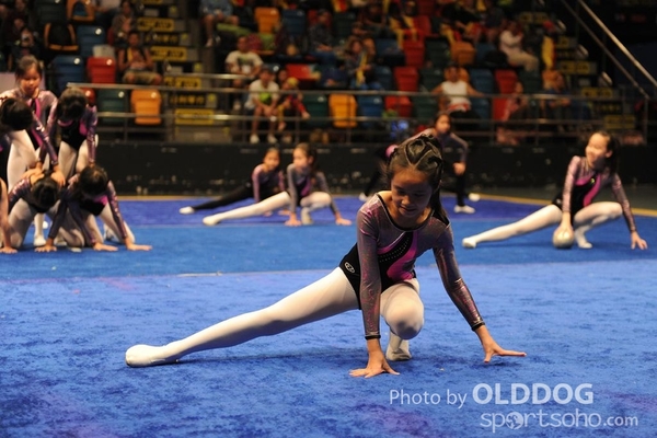 Gymnastics (528)