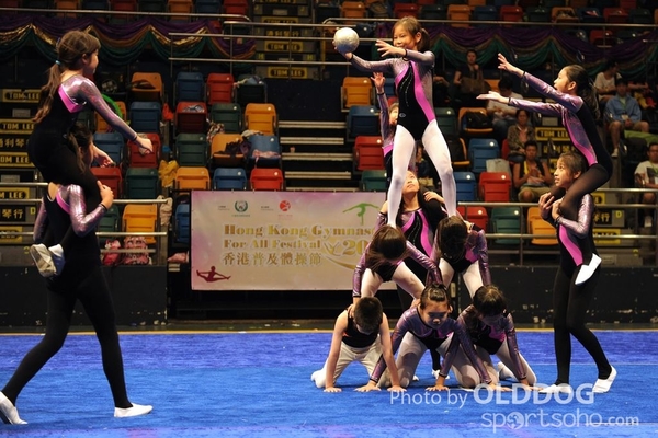 Gymnastics (529)