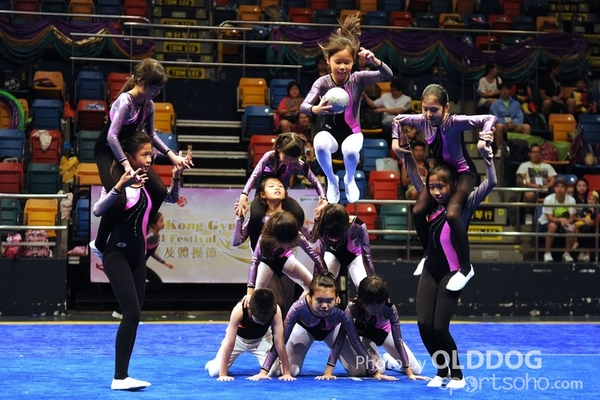 Gymnastics (530)