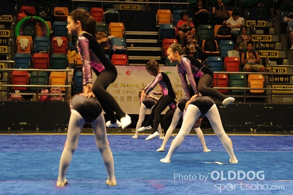 Gymnastics (531)