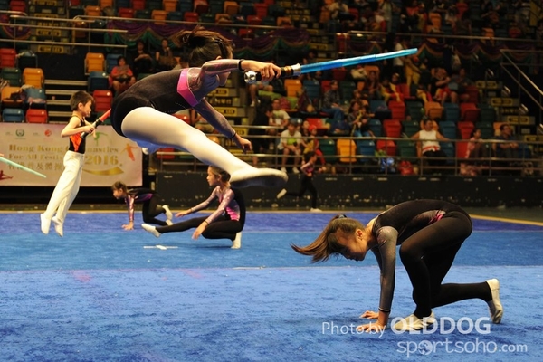 Gymnastics (532)