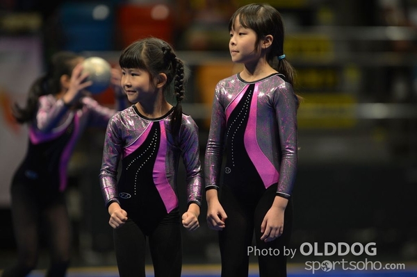 Gymnastics (533)