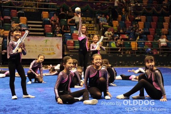 Gymnastics (534)
