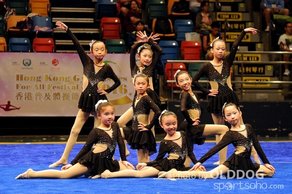 Gymnastics (535)