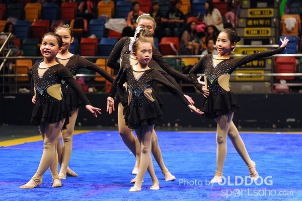 Gymnastics (536)