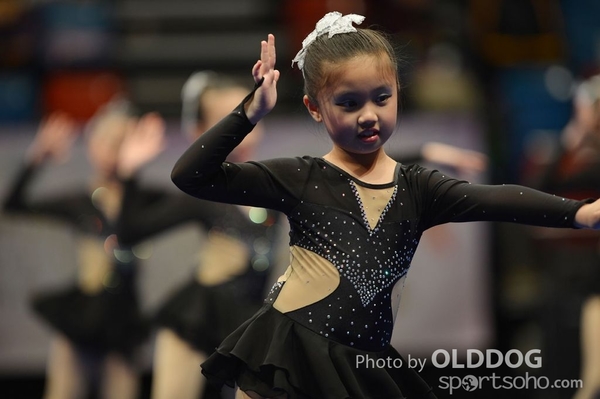 Gymnastics (537)