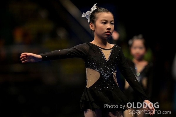 Gymnastics (538)