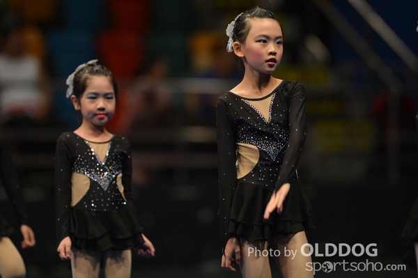 Gymnastics (539)