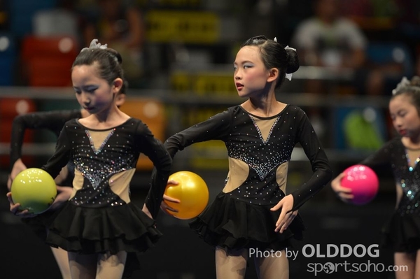 Gymnastics (541)