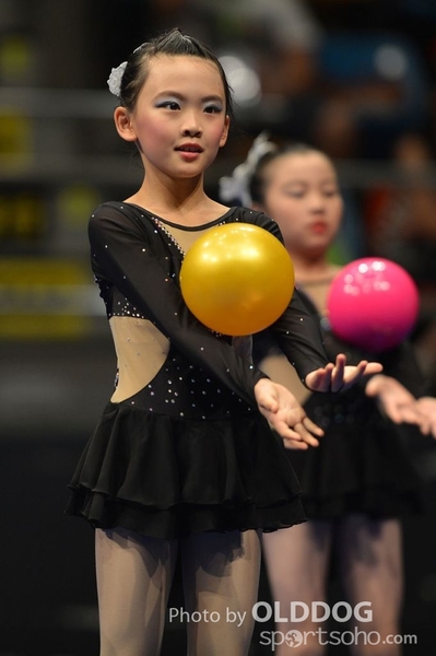Gymnastics (542)