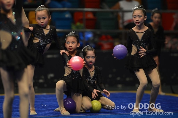 Gymnastics (543)