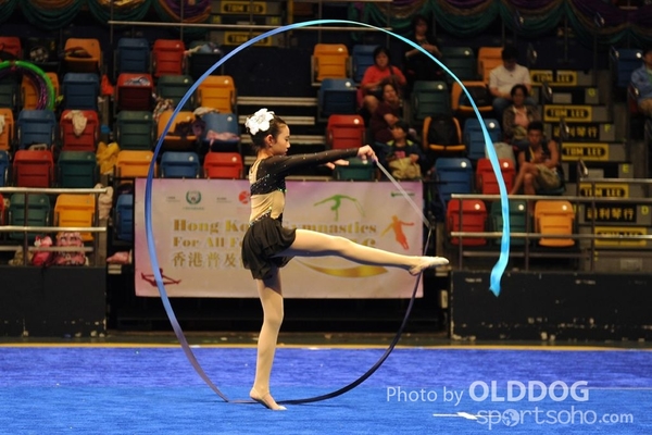 Gymnastics (544)