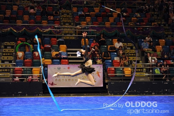 Gymnastics (545)