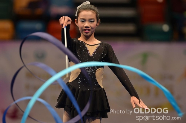 Gymnastics (547)