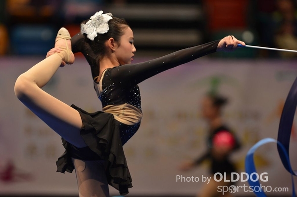 Gymnastics (548)