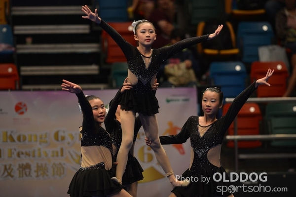 Gymnastics (549)