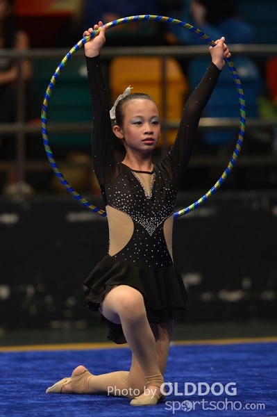 Gymnastics (551)