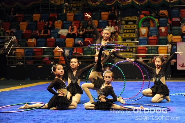 Gymnastics (552)