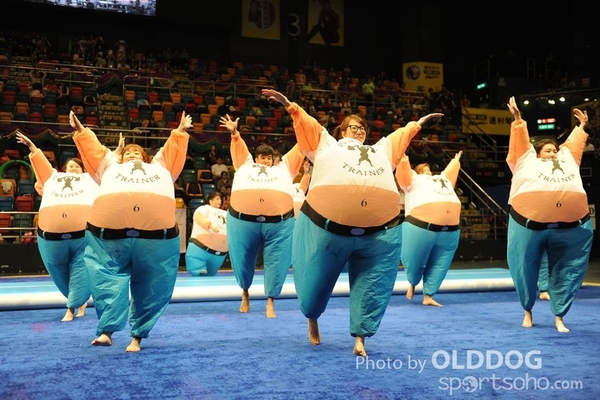 Gymnastics (561)