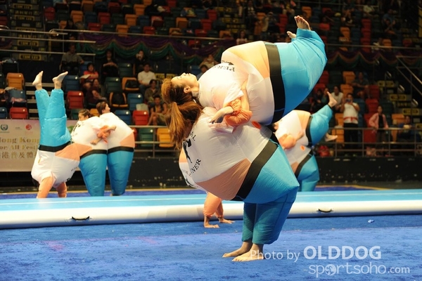 Gymnastics (567)