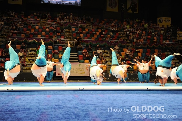 Gymnastics (572)