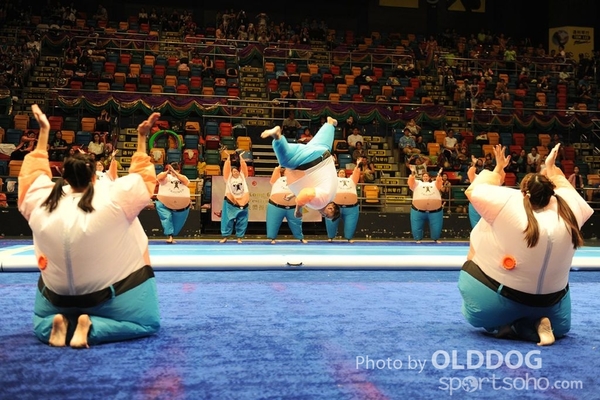 Gymnastics (573)