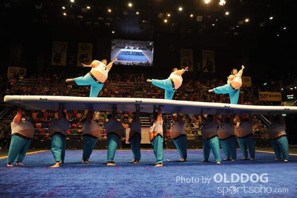 Gymnastics (576)