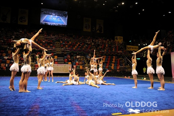 Gymnastics (582)