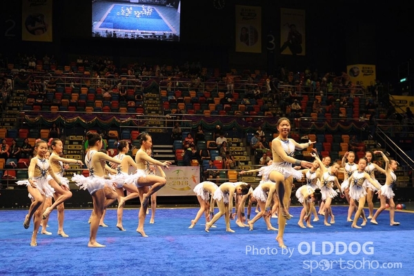 Gymnastics (583)