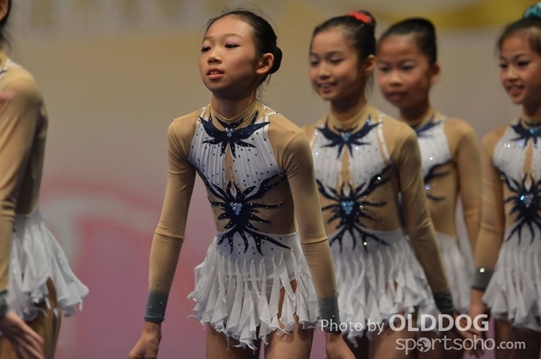 Gymnastics (585)
