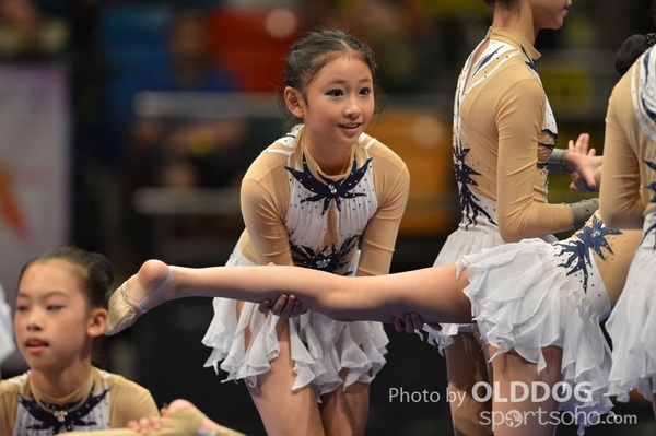 Gymnastics (587)