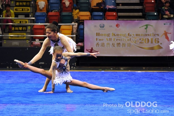 Gymnastics (589)