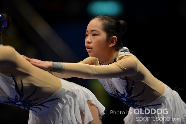 Gymnastics (590)