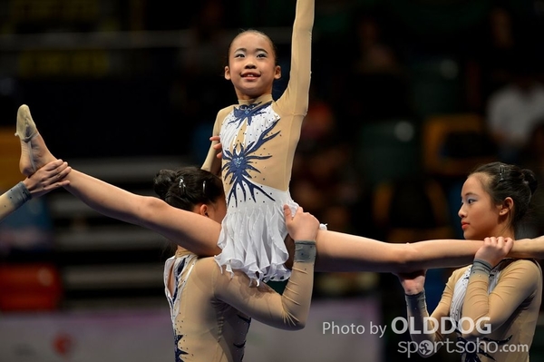 Gymnastics (591)