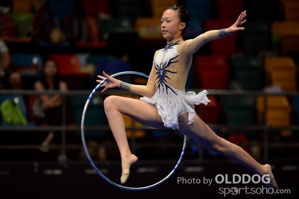 Gymnastics (592)