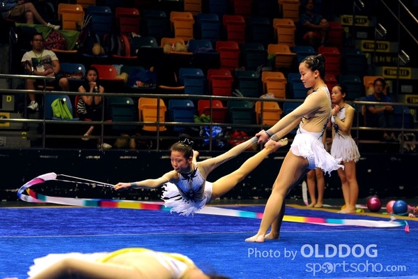 Gymnastics (595)