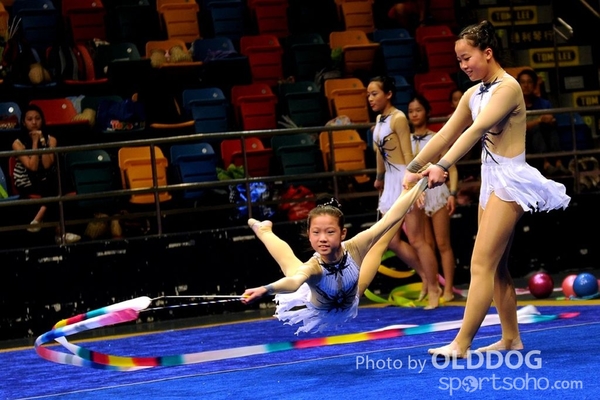 Gymnastics (596)