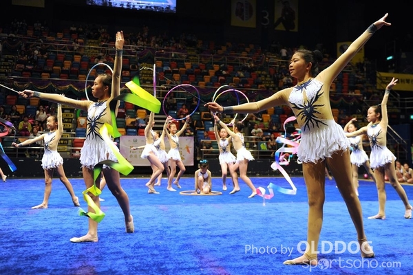 Gymnastics (598)