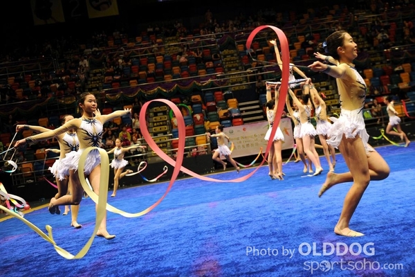 Gymnastics (599)
