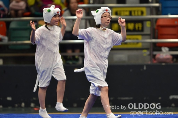 Gymnastics (603)