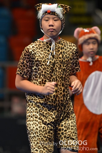 Gymnastics (607)