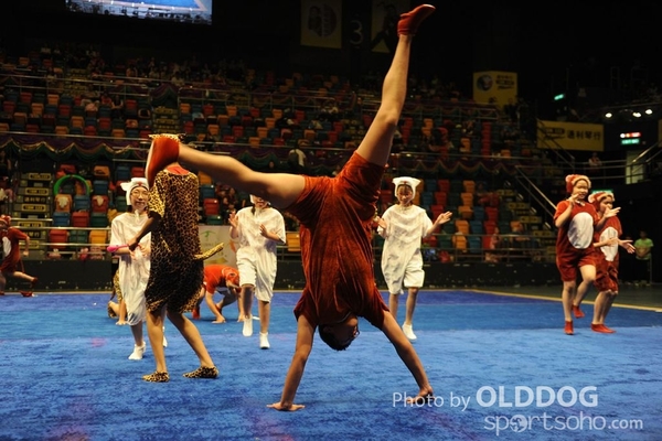 Gymnastics (615)