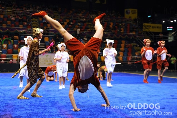 Gymnastics (616)
