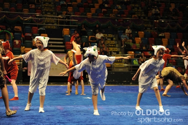Gymnastics (619)