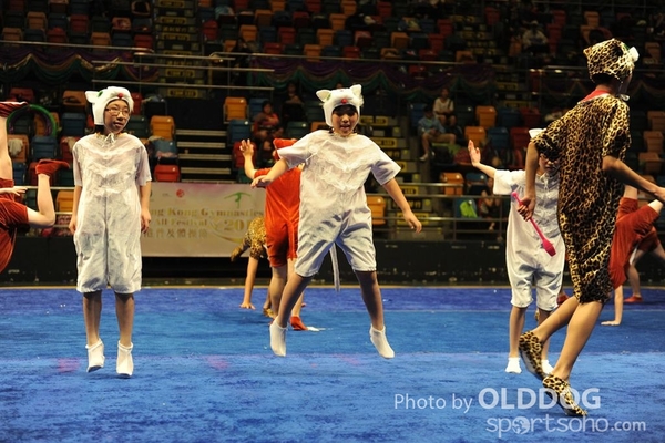 Gymnastics (620)