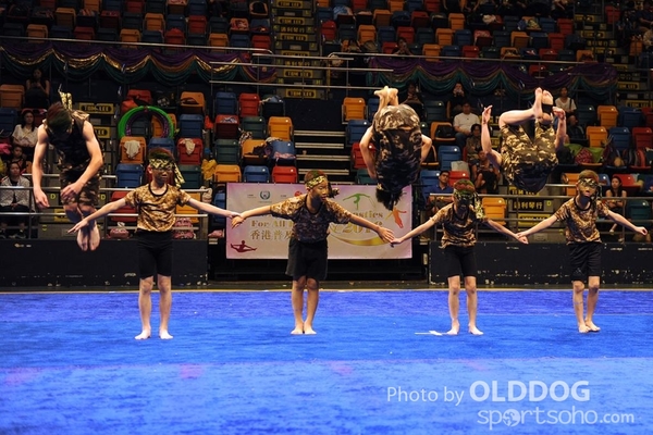 Gymnastics (633)