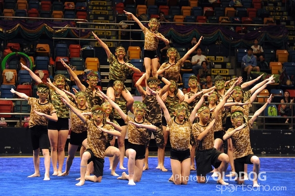 Gymnastics (635)