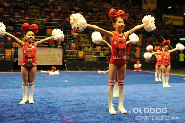 Gymnastics (642)