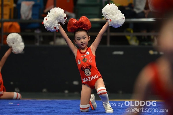 Gymnastics (643)