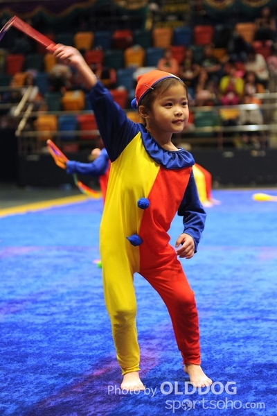 Gymnastics (675)